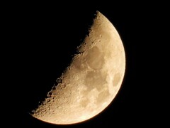 今夜の月
