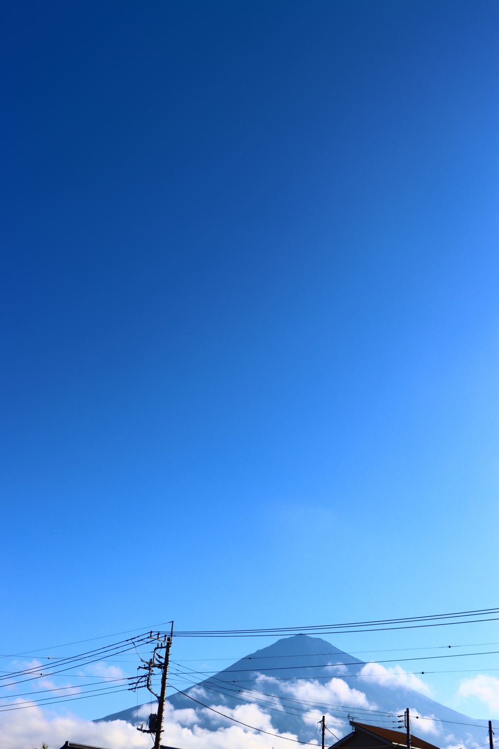 朝富士