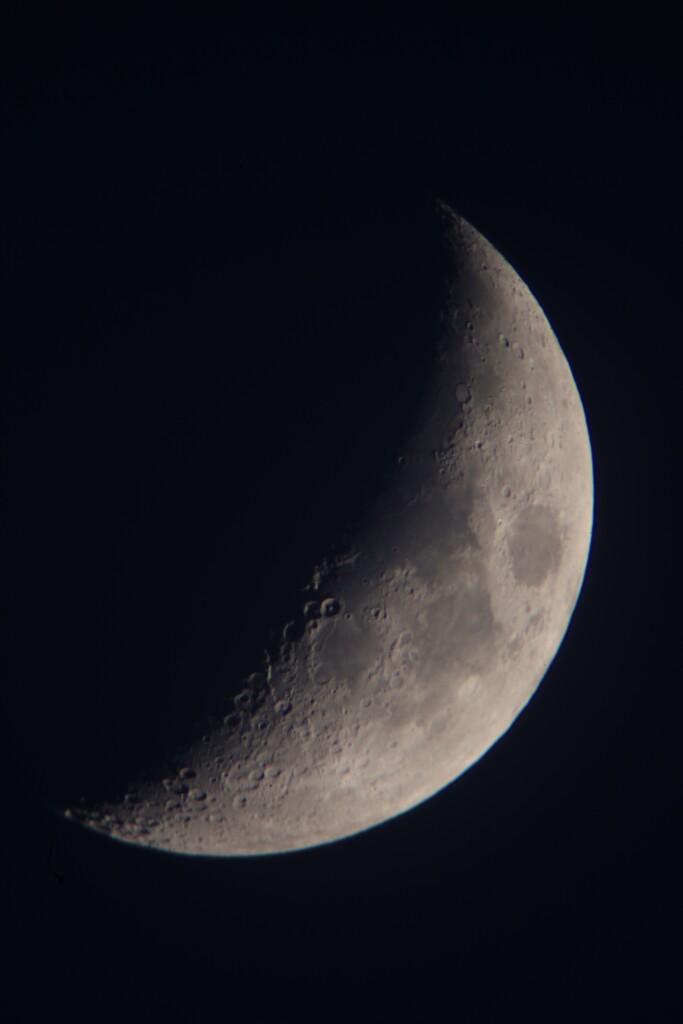 今夜のお月様