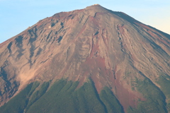 大沢崩れの土煙りと夕富士