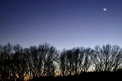 夕焼けと三日月