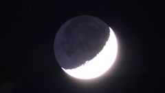 月がどんぐりの様