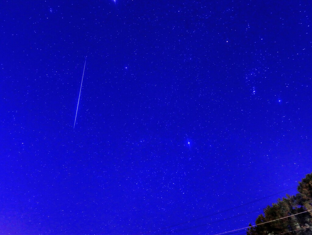 ふたご座流星群④