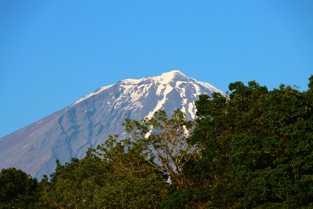 富士山