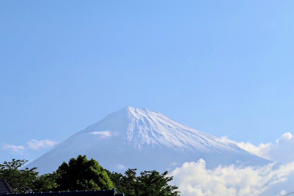 朝の富士山