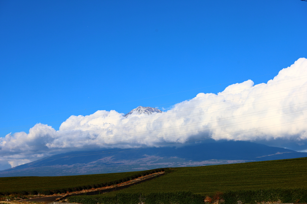 頭を雲の上に出し①