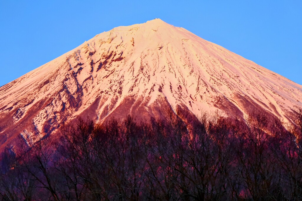 夕富士