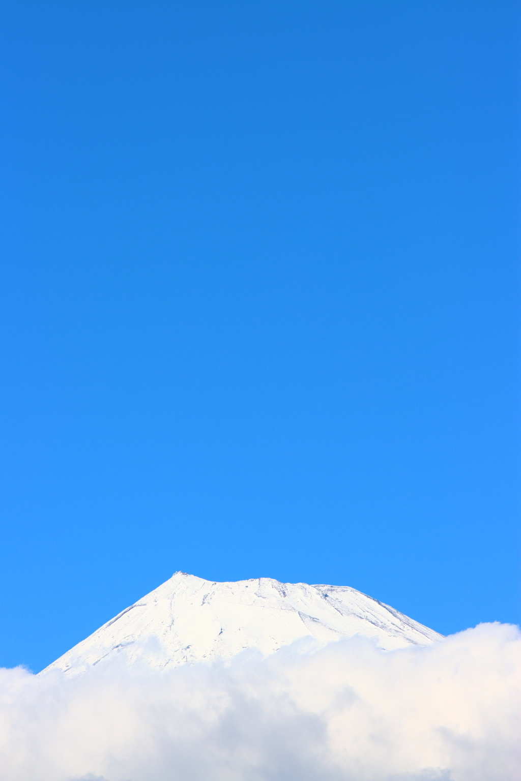 頭を雲の上に出し