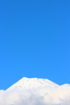 頭を雲の上に出し