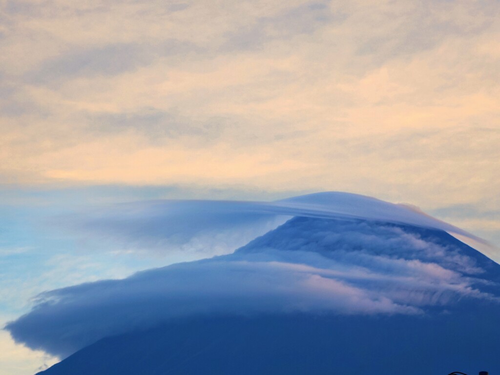 ベールを纏う