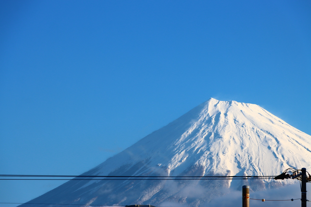 ３日ぶりに姿を現してくれました。