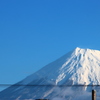 ３日ぶりに姿を現してくれました。