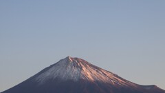 今朝の富士山