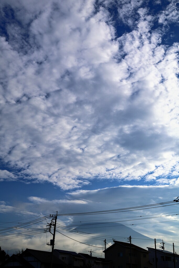 朝富士