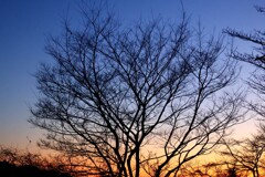 夕暮れ
