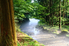 涼しげな川