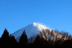 富士