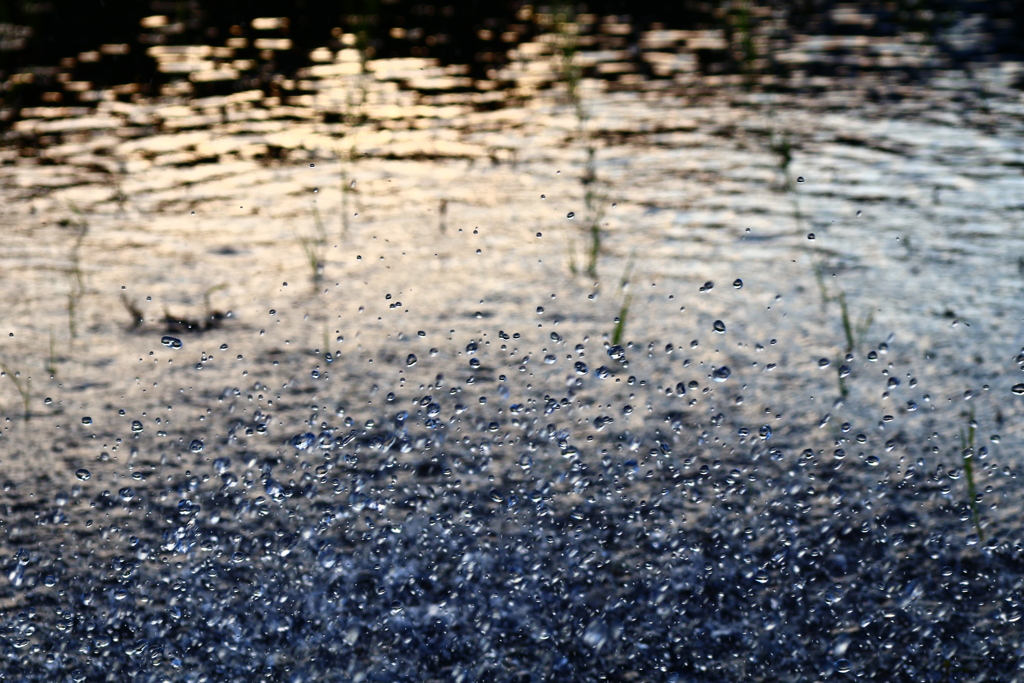 夕暮れ時のかんすい