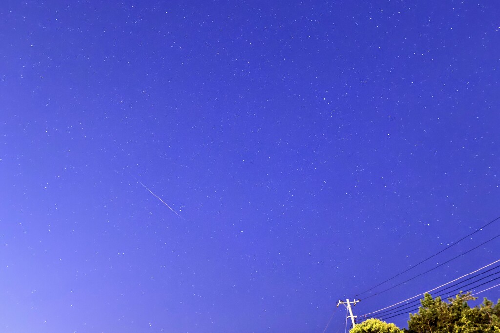 今朝のその他流れ星