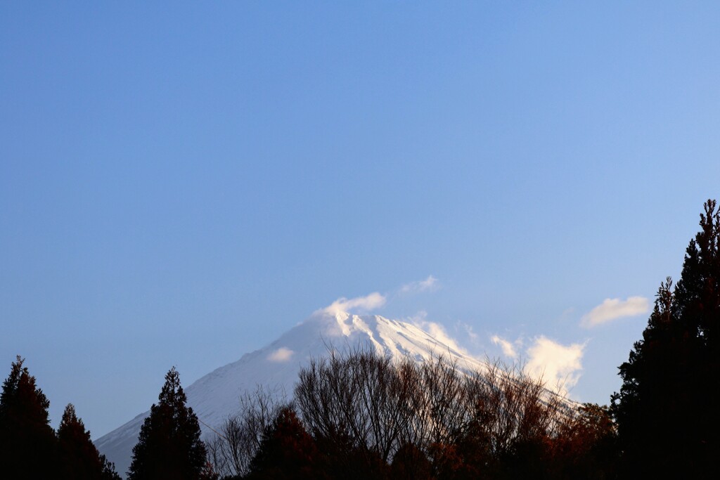 富士山