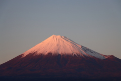 ピンクに染まる富士山