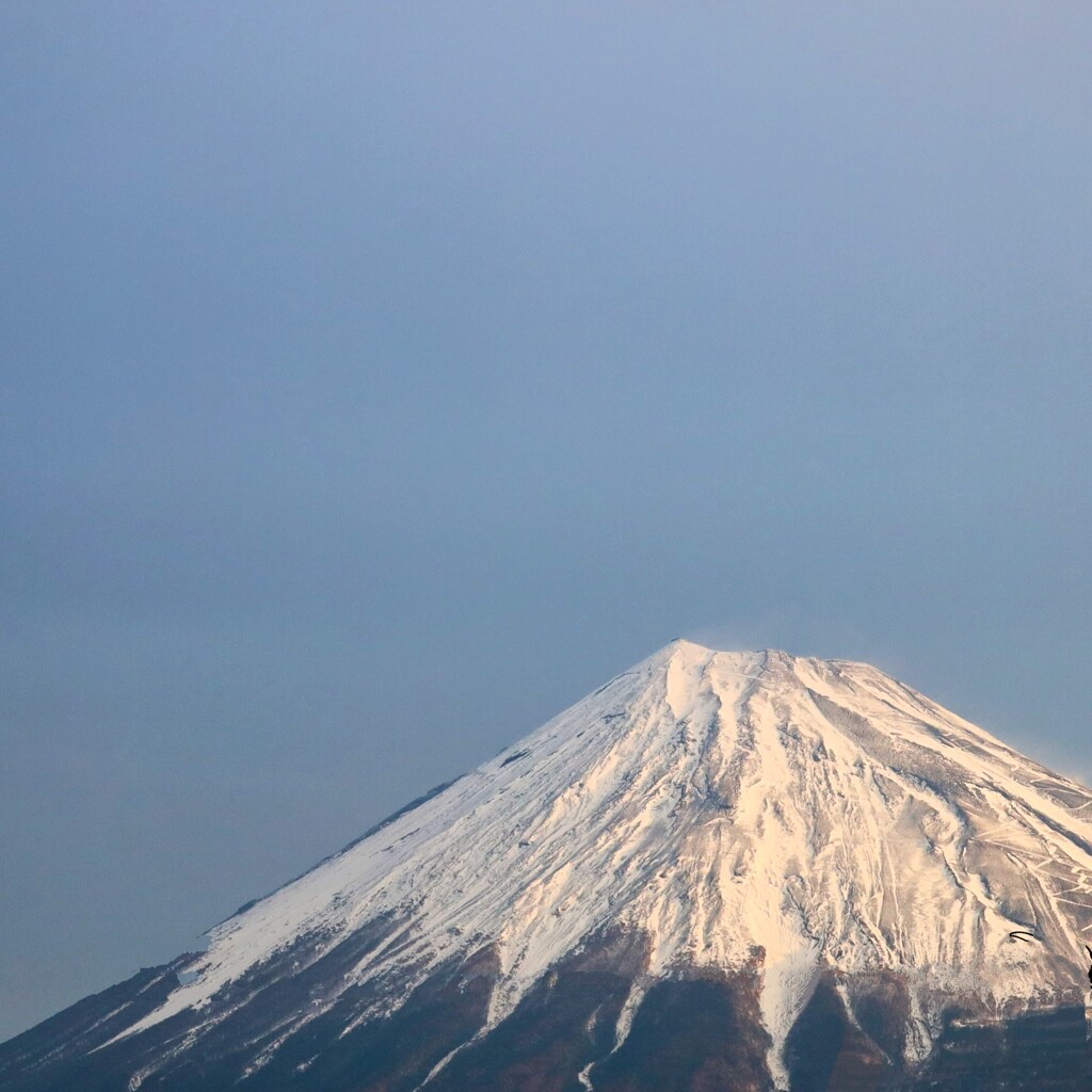 今朝の富士山