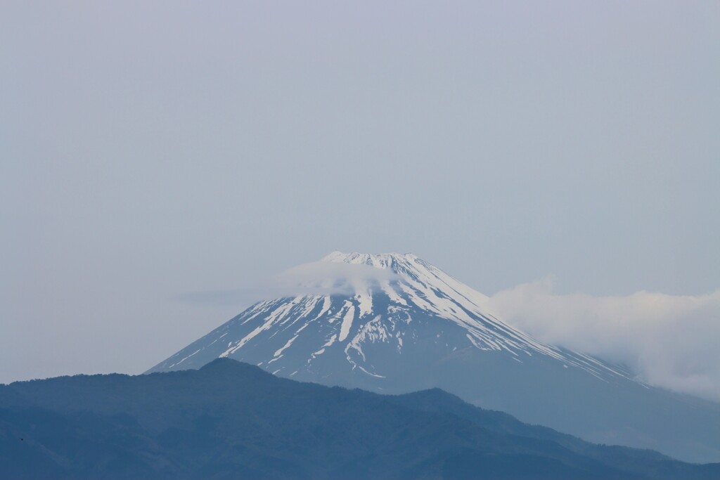 伊豆から見た富士