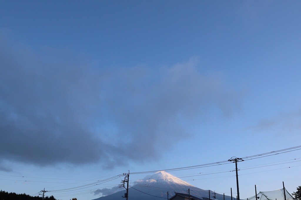 今富士山231128
