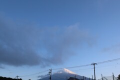 今富士山231128