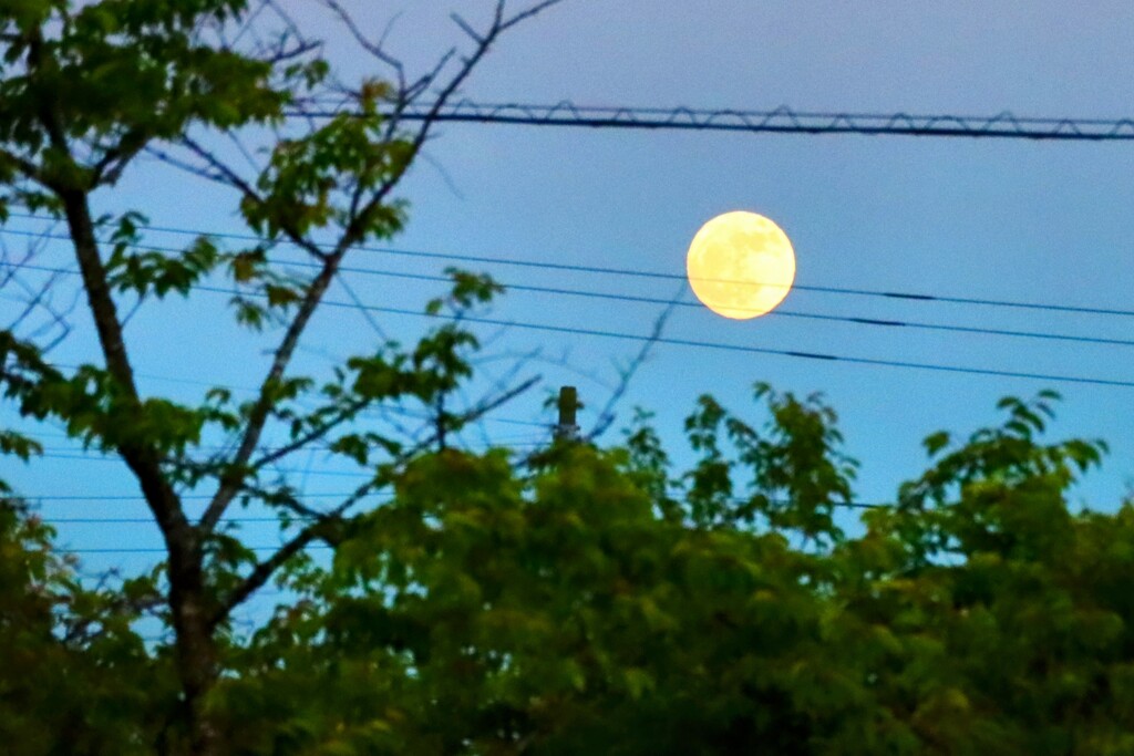 お月様が昇る