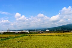 秋を走る新幹線