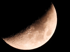 今夜のお月様