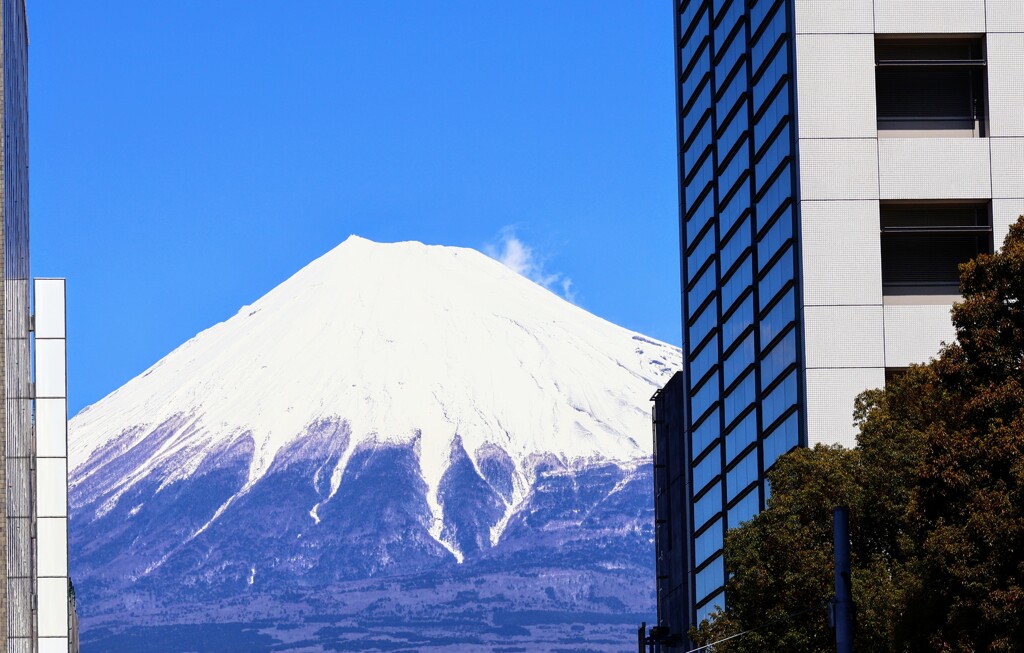 建物の間に見える富士
