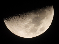 今夜のお月様