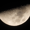 今夜のお月様