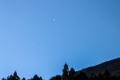 気持ち良さそう20231119