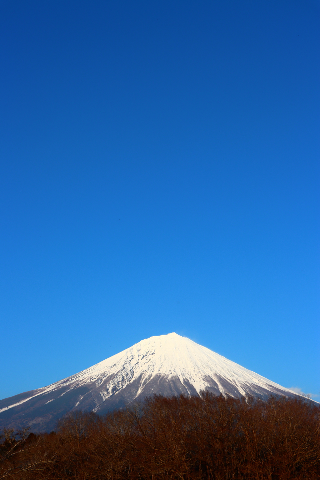 お化粧前