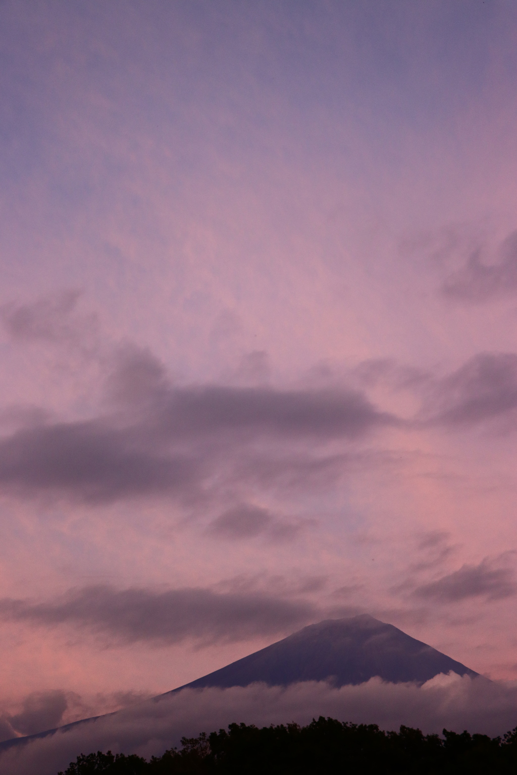 夕焼けに赤富士