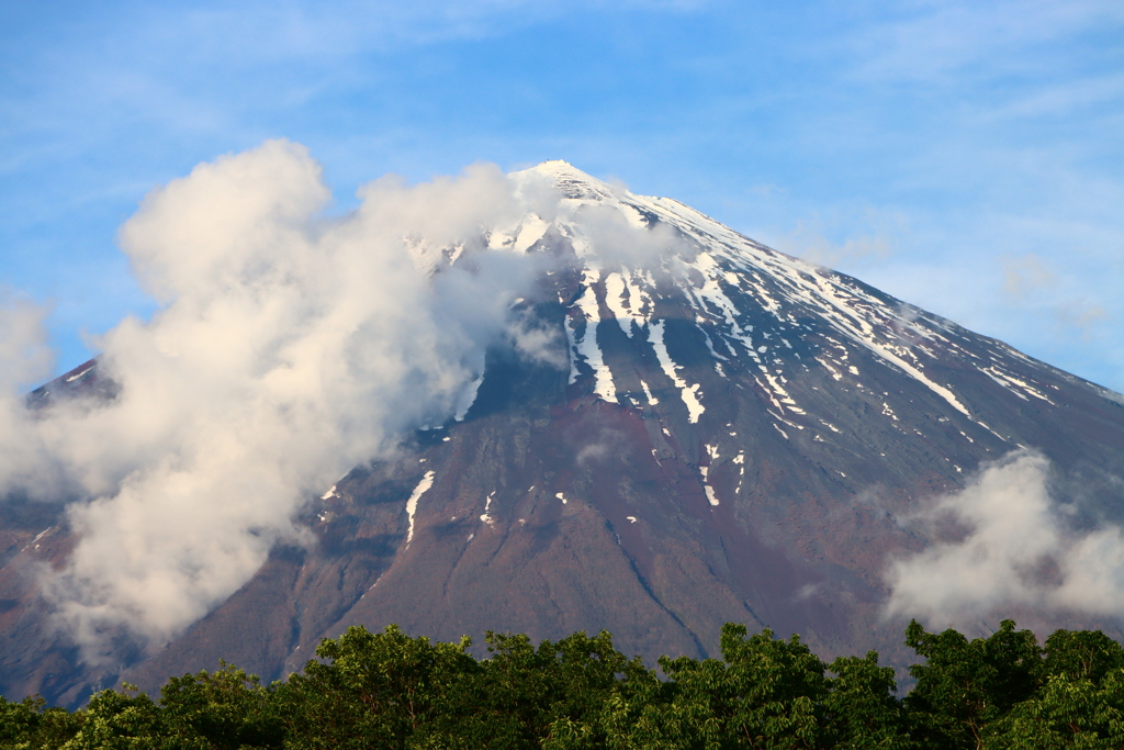 初夏の富士山