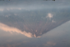水面に映る富士山