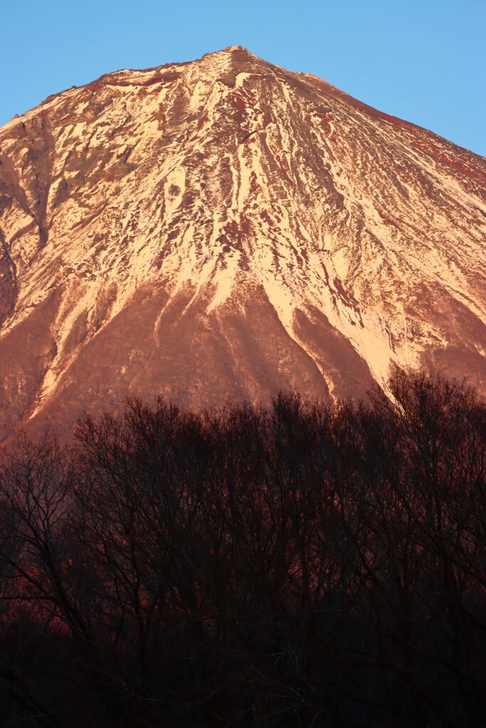 金色富士山