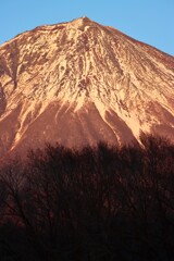 金色富士山