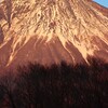 金色富士山
