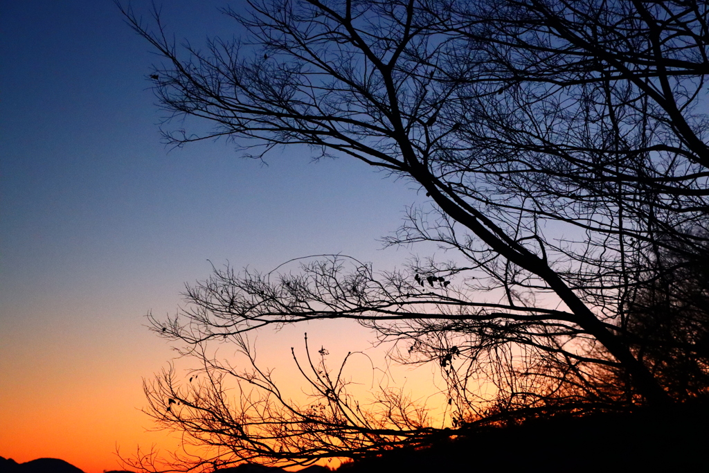 夕暮れ