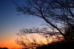夕暮れ