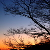 夕暮れ