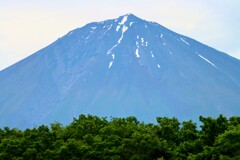 初夏の富士山