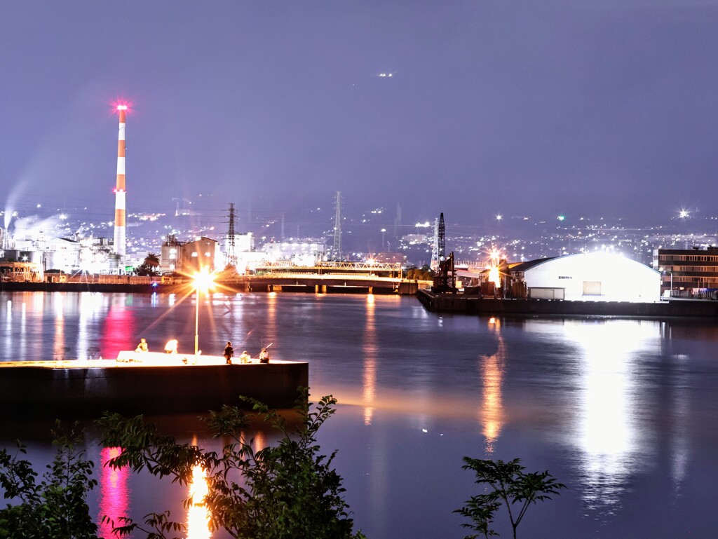 夜景　田子の浦港