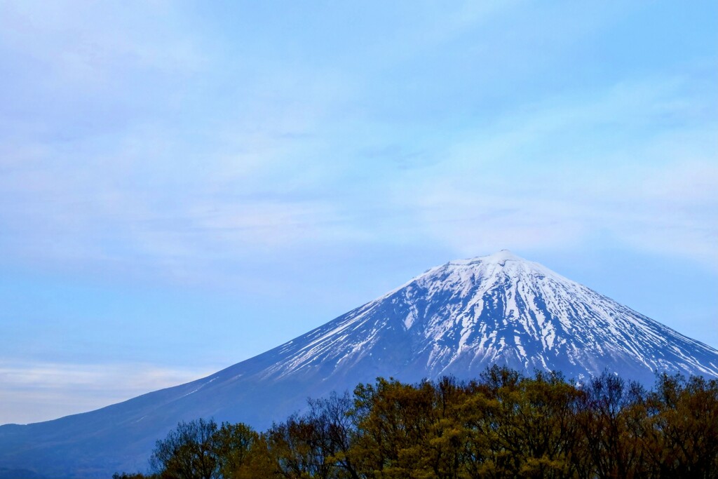 今夕の富士山