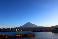 みんなみんな朝陽を浴びて